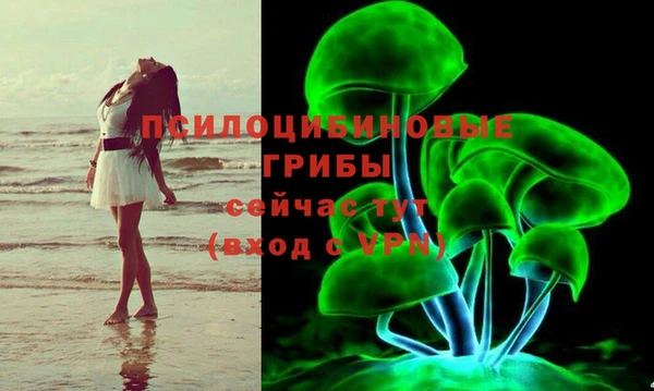бошки Заводоуковск