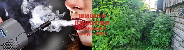 бошки Заводоуковск