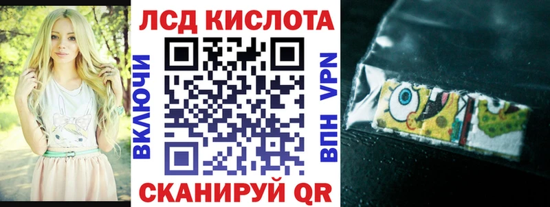 маркетплейс как зайти где найти наркотики Приозерск Наркотические марки 1,8мг