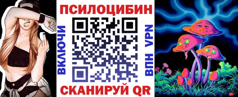 магазин  наркотиков  Приозерск  Галлюциногенные грибы GOLDEN TEACHER 