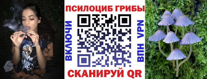 Галлюциногенные грибы мухоморы Приозерск